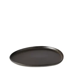 Aida RAW Titanium Black Organic frokosttallerken 24 cm