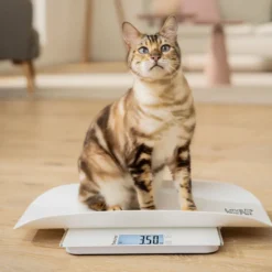 Beurer PetCare PP 170 Polly vægt til kæledyr hvid