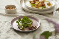 Bitz Gastro tallerken lyserød 17 cm
