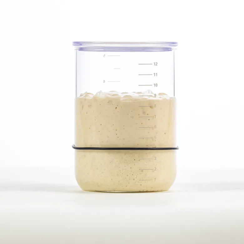 Brød & Taylor glas til surdejstarter 950 ml