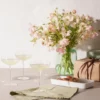 Eva Solo champagneglas coupe 20 cl