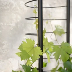 Eva Solo Simply Grow espalier sort