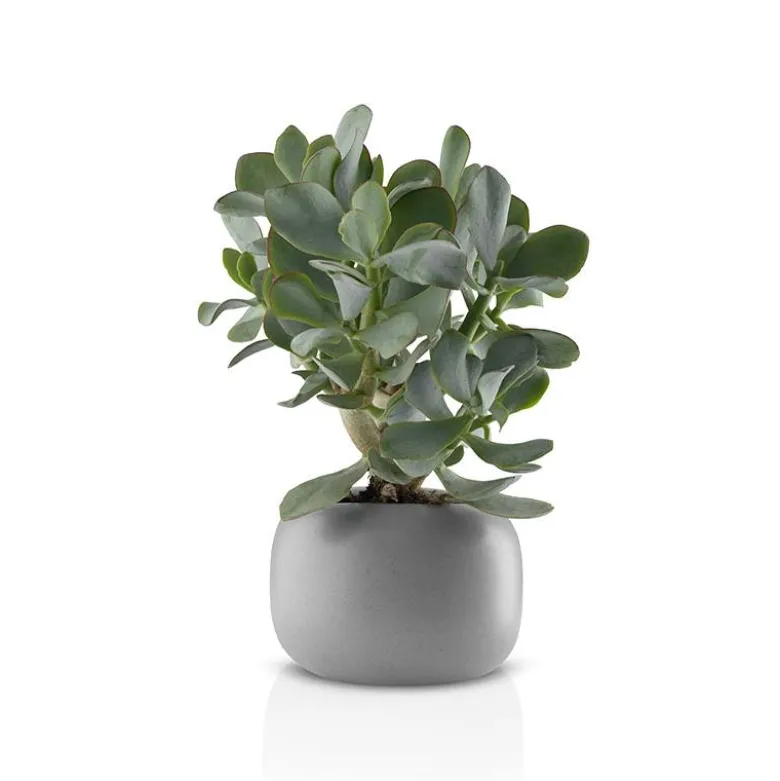 Eva Solo Stone urtepotteskjuler grå 16 cm