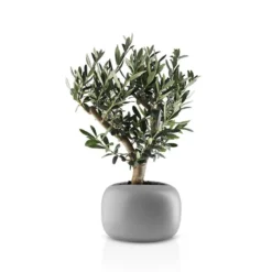 Eva Solo Stone urtepotteskjuler grå 19 cm