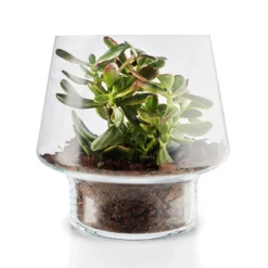 Eva Solo sukkulent glasvase klar glas 21 cm