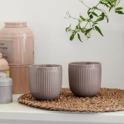 Eva Trio Legio Nova Kop 34 cl brun 2 stk.