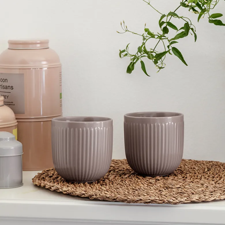 Eva Trio Legio Nova Kop 34 cl brun 2 stk.