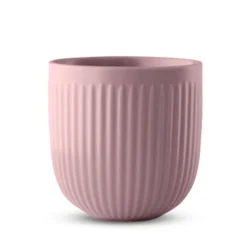 Eva Trio Legio Nova Kop 34 cl rosa 2 stk.