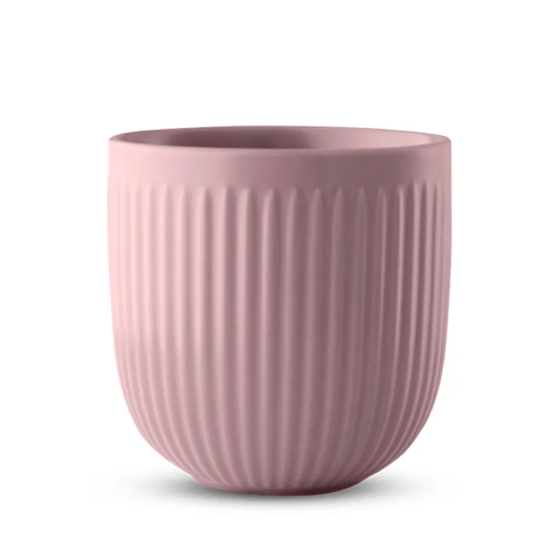 Eva Trio Legio Nova Kop 34 cl rosa 2 stk.