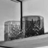 Frederik Bagger Crispy lowball clear glas 2 stk. 38 cl
