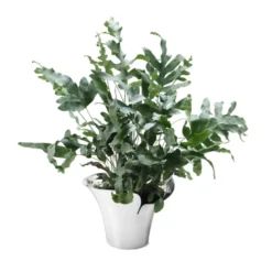 Georg Jensen Bloom Botanica urtepotteskjuler mellem