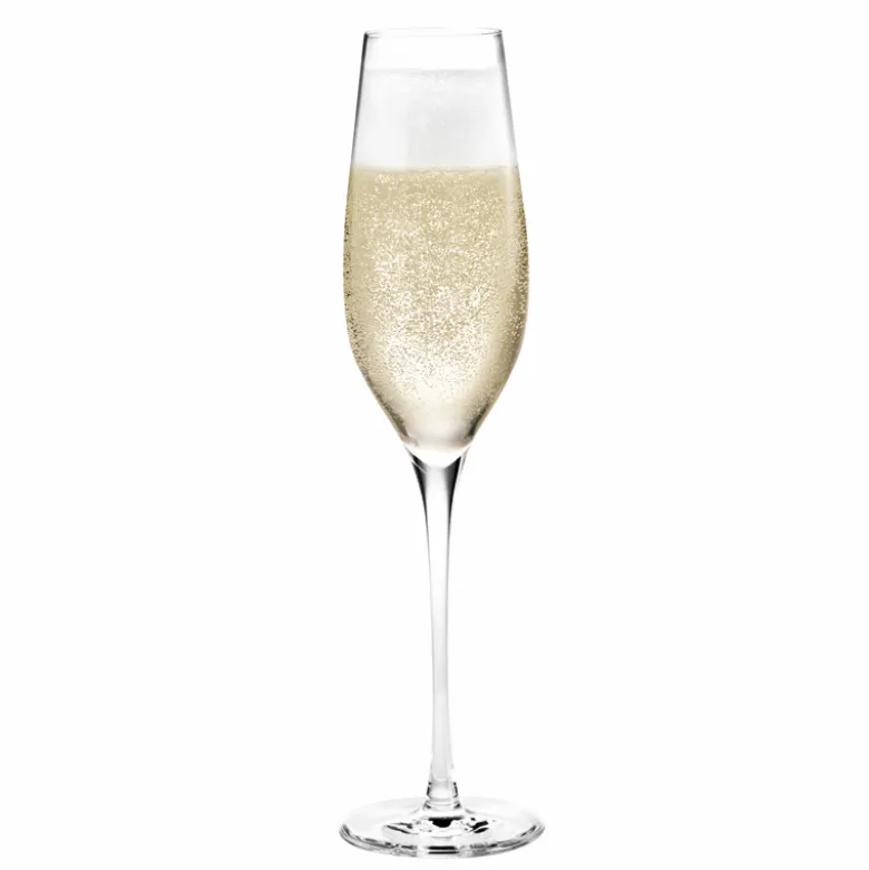 Holmegaard Cabernet champagneglas 29 cl