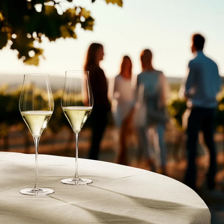 Holmegaard Notes champagneglas 2 stk. 38 cl