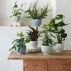 Knabstrup Keramik Ripple urtepotteskjuler lavendel H 14.5 cm