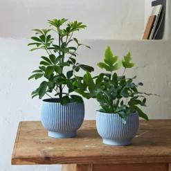 Knabstrup Keramik Ripple urtepotteskjuler lavendel H 14.5 cm
