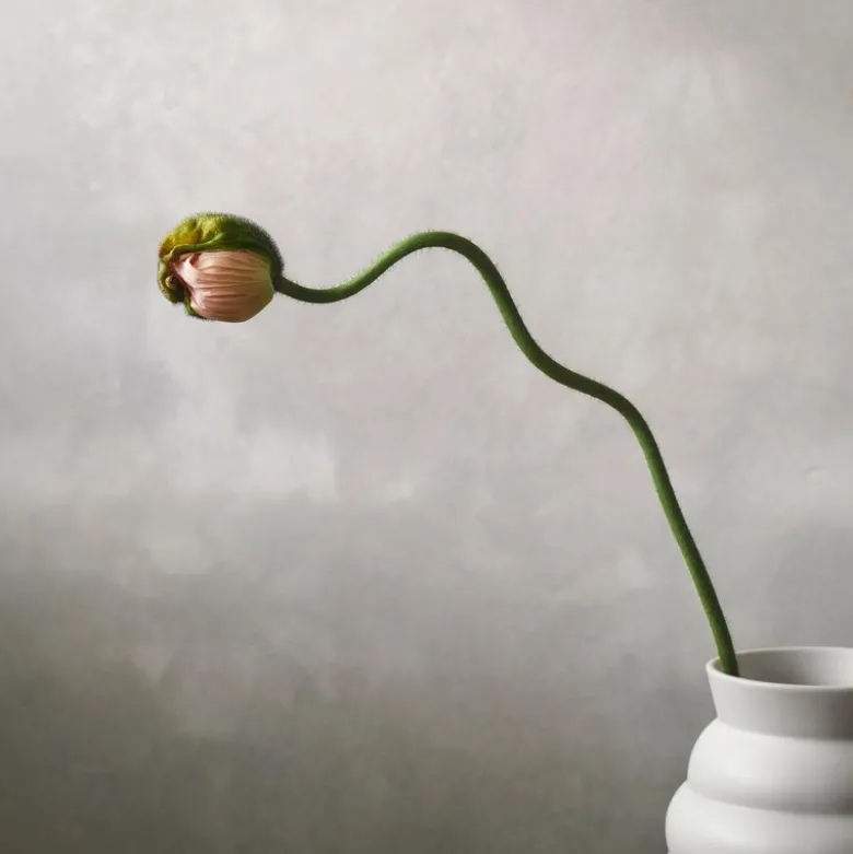 Knabstrup Keramik Tortus Archie vase No2 hvid H 23,5 cm