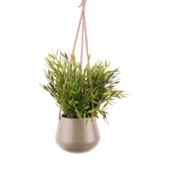 Present Time urtepotte med ophæng small warm grey