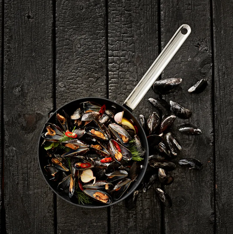Scanpan TechnIQ Windsor kasserolle 22 cm