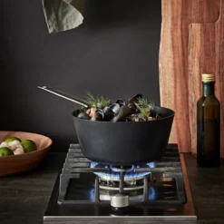 Scanpan TechnIQ Windsor kasserolle 22 cm