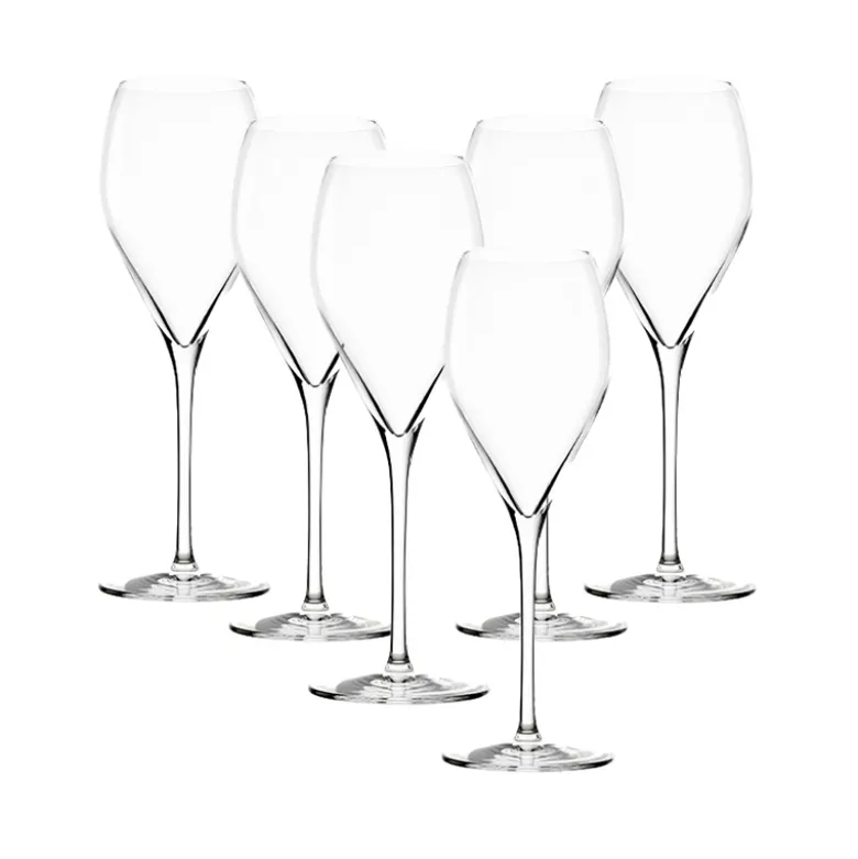Stölzle Prestige champagneglas 210 ml 6 stk.