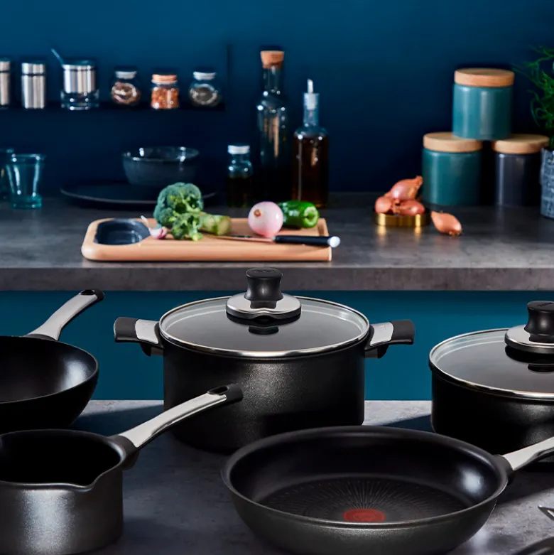 Tefal Excellence stegepande Ø 24 cm
